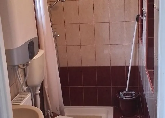 Homestay Rozika I *